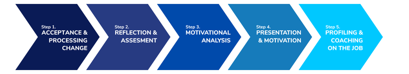 Example Career Transition Programme